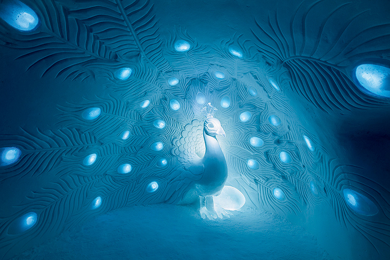 Press release December 2015, ICEHOTEL, Show Me What You Gotdesign by Tjåsa Gusfors (Sweden) David Andrén (Sweden)